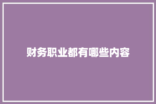 财务职业都有哪些内容