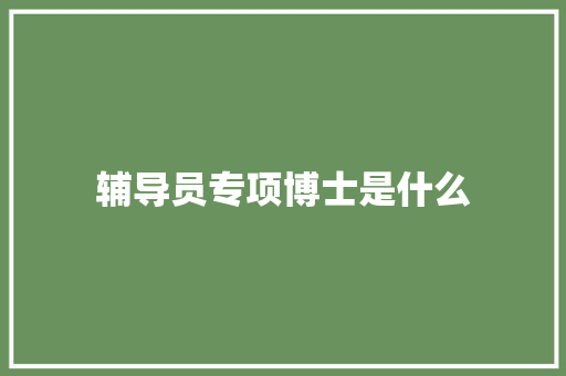 辅导员专项博士是什么