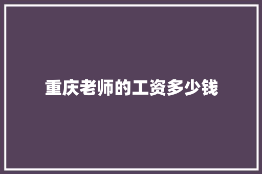重庆老师的工资多少钱
