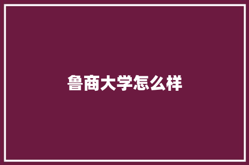 鲁商大学怎么样