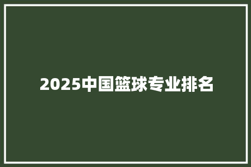 2025中国篮球专业排名
