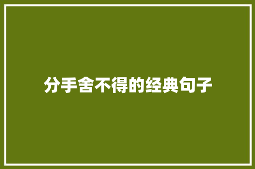 分手舍不得的经典句子 词汇积累