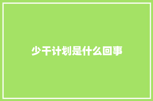少干计划是什么回事