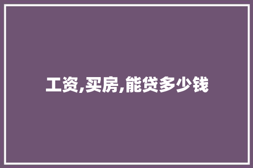 工资,买房,能贷多少钱