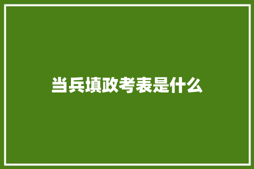 当兵填政考表是什么