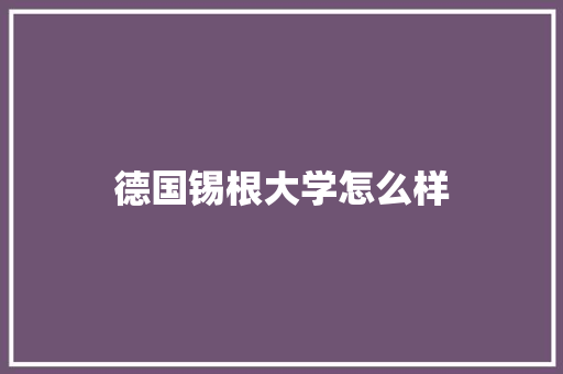 德国锡根大学怎么样