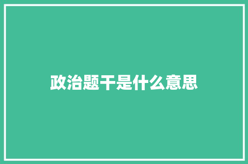 政治题干是什么意思