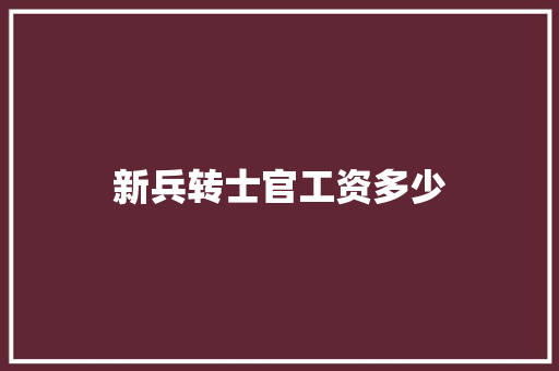 新兵转士官工资多少