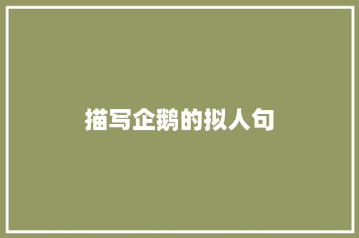 描写企鹅的拟人句