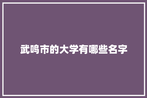 武鸣市的大学有哪些名字