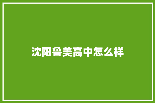 沈阳鲁美高中怎么样