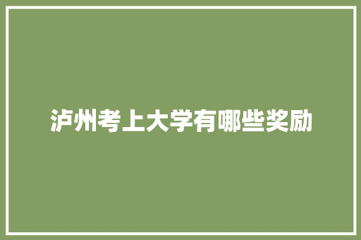泸州考上大学有哪些奖励