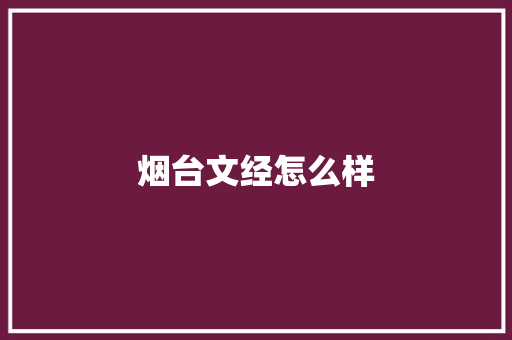 烟台文经怎么样