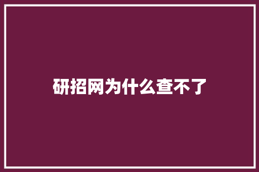研招网为什么查不了