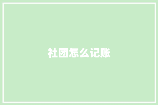 社团怎么记账