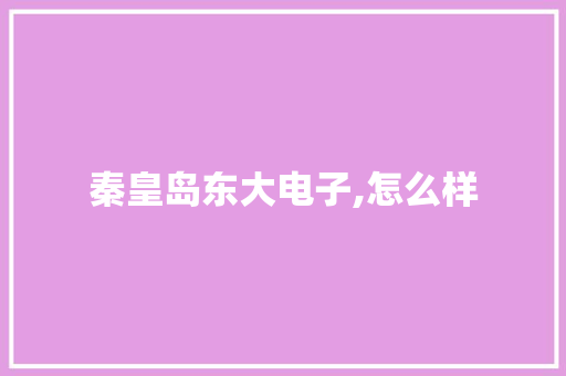 秦皇岛东大电子,怎么样