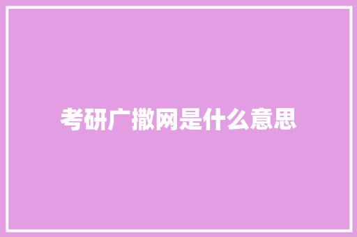 考研广撒网是什么意思