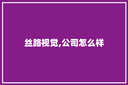 丝路视觉,公司怎么样