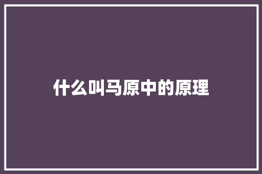 什么叫马原中的原理