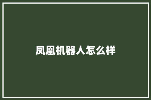 凤凰机器人怎么样