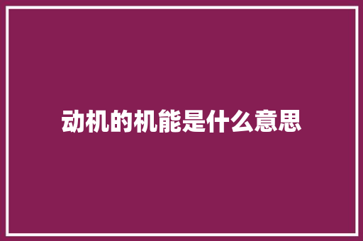 动机的机能是什么意思