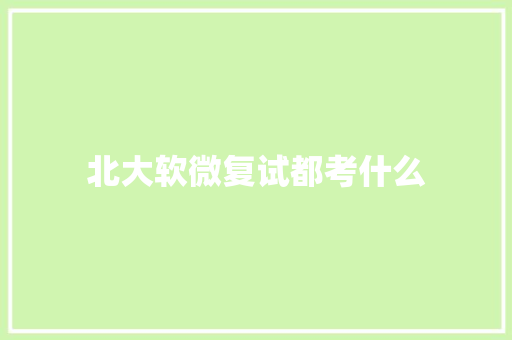 北大软微复试都考什么