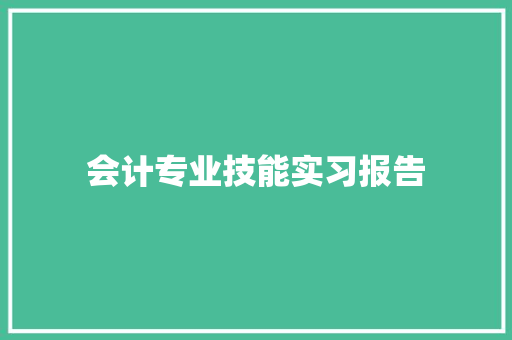 会计专业技能实习报告