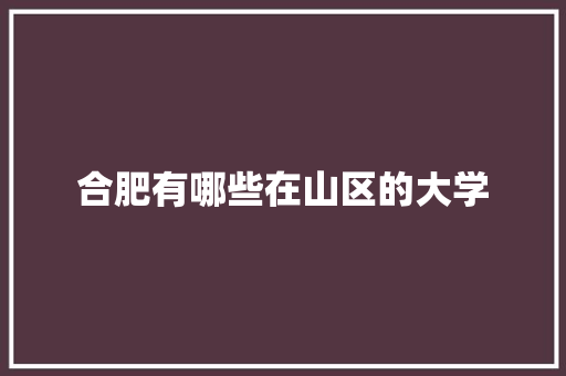 合肥有哪些在山区的大学