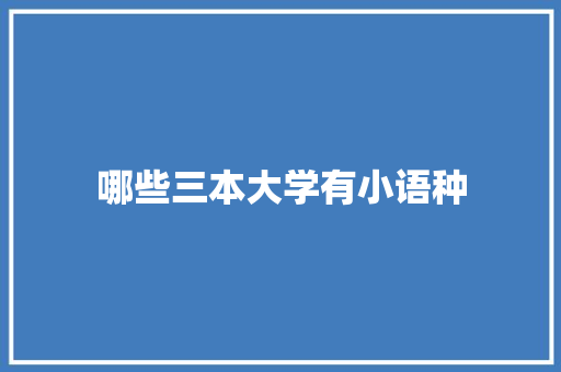 哪些三本大学有小语种