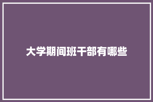 大学期间班干部有哪些