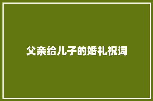 父亲给儿子的婚礼祝词 简历模板