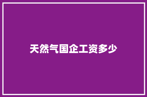 天然气国企工资多少