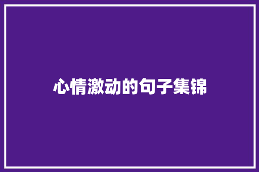 心情激动的句子集锦
