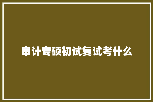 审计专硕初试复试考什么