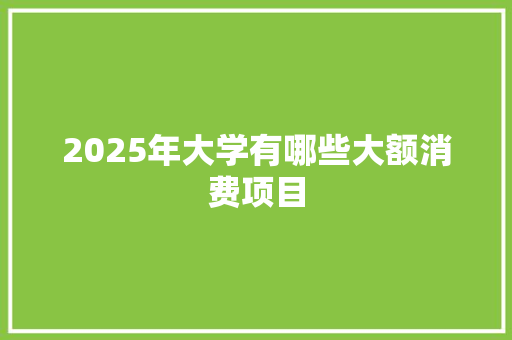 2025年大学有哪些大额消费项目