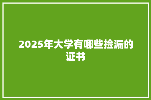 2025年大学有哪些捡漏的证书