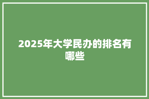 2025年大学民办的排名有哪些