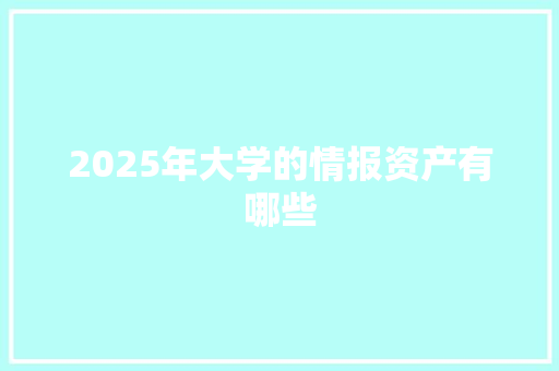 2025年大学的情报资产有哪些