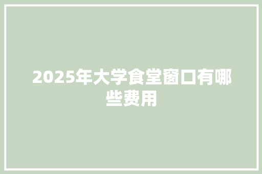 2025年大学食堂窗口有哪些费用