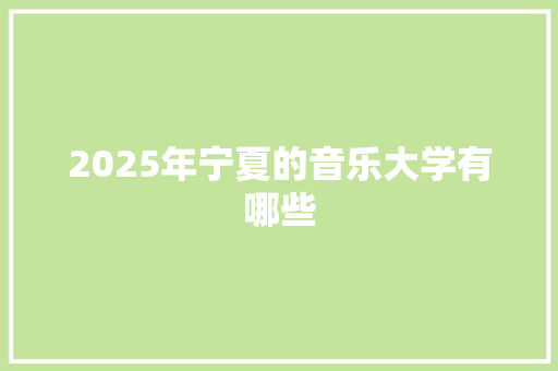 2025年宁夏的音乐大学有哪些