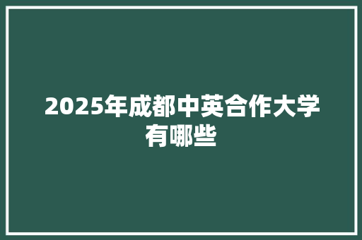 2025年成都中英合作大学有哪些