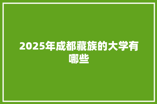 2025年成都藏族的大学有哪些 写作技巧