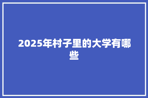 2025年村子里的大学有哪些