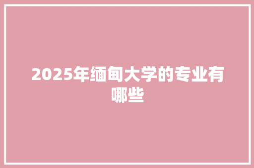 2025年缅甸大学的专业有哪些