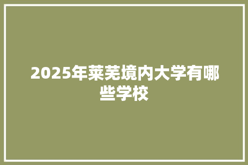 2025年莱芜境内大学有哪些学校 范文赏析