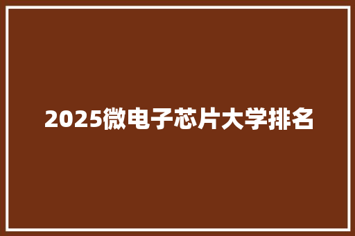 2025微电子芯片大学排名