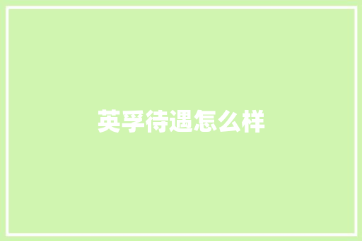 英孚待遇怎么样