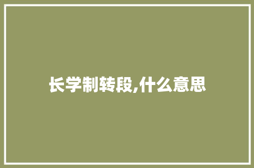 长学制转段,什么意思