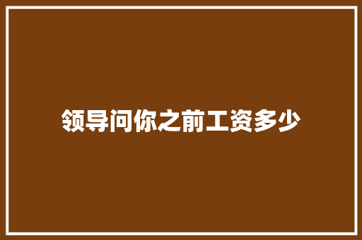 领导问你之前工资多少