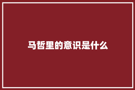马哲里的意识是什么